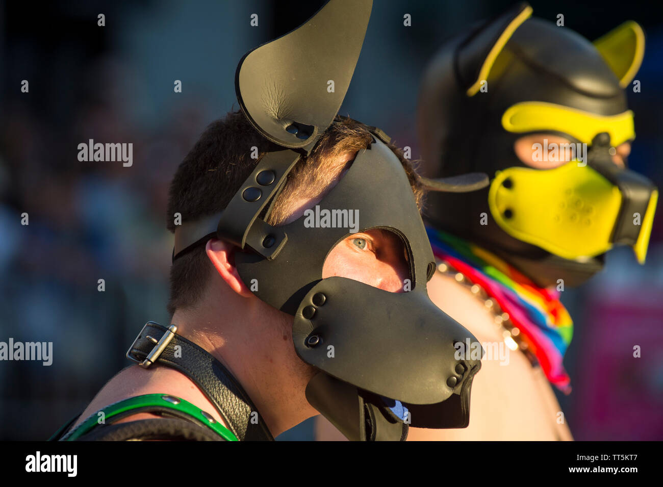 NEW YORK CITY - JUNE 25, 2017: Men wearing pups animal fetish costumes walk  with the annual gay pride parade in Greenwich Village Stock Photo - Alamy