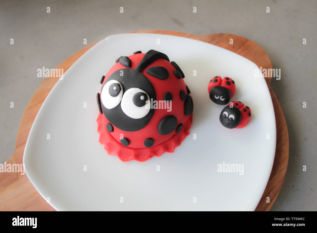 Chocolate Ladybird High Resolution Stock Photography And Images Alamy