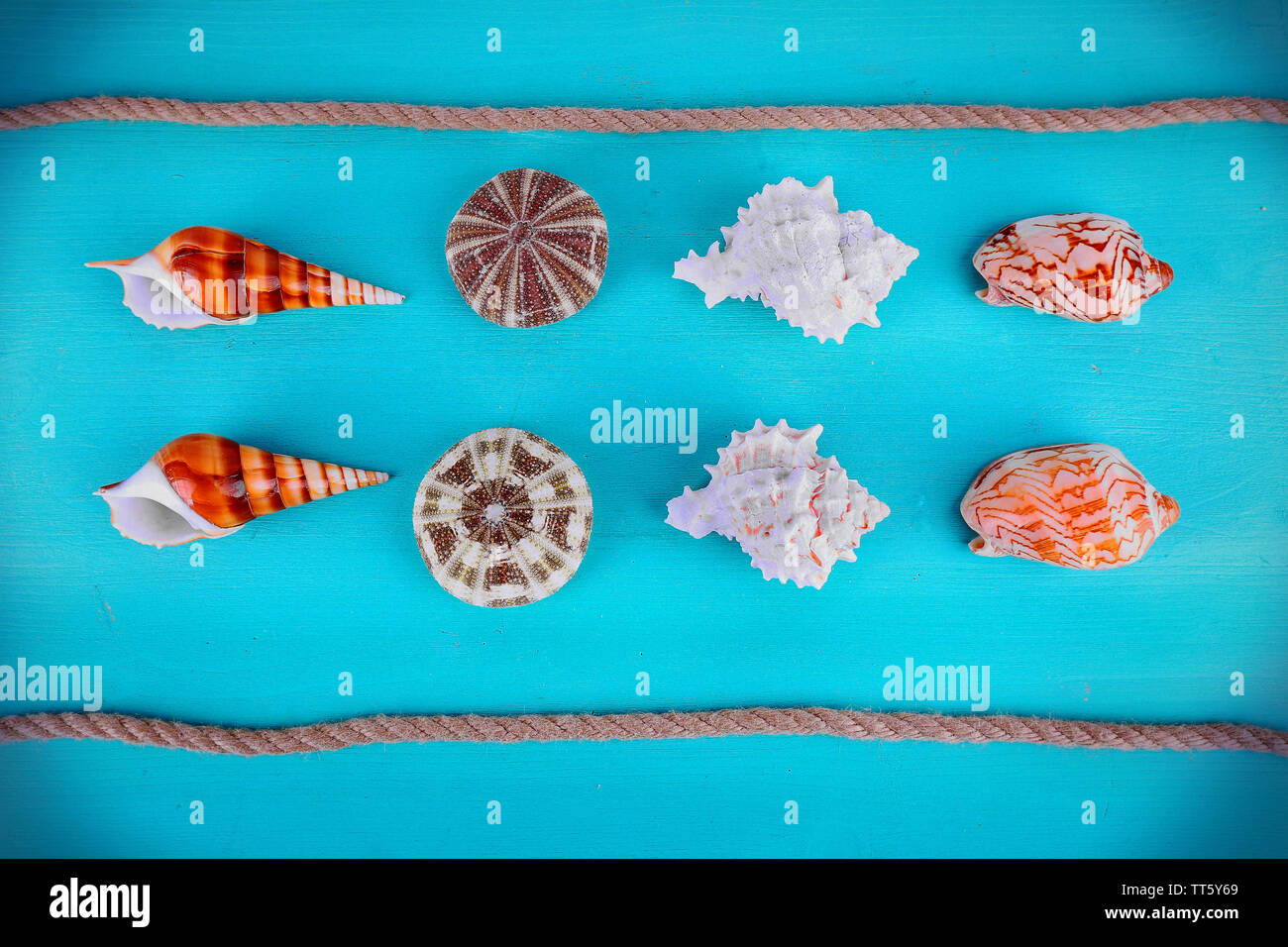 Sea souvenirs on light blue background Stock Photo - Alamy