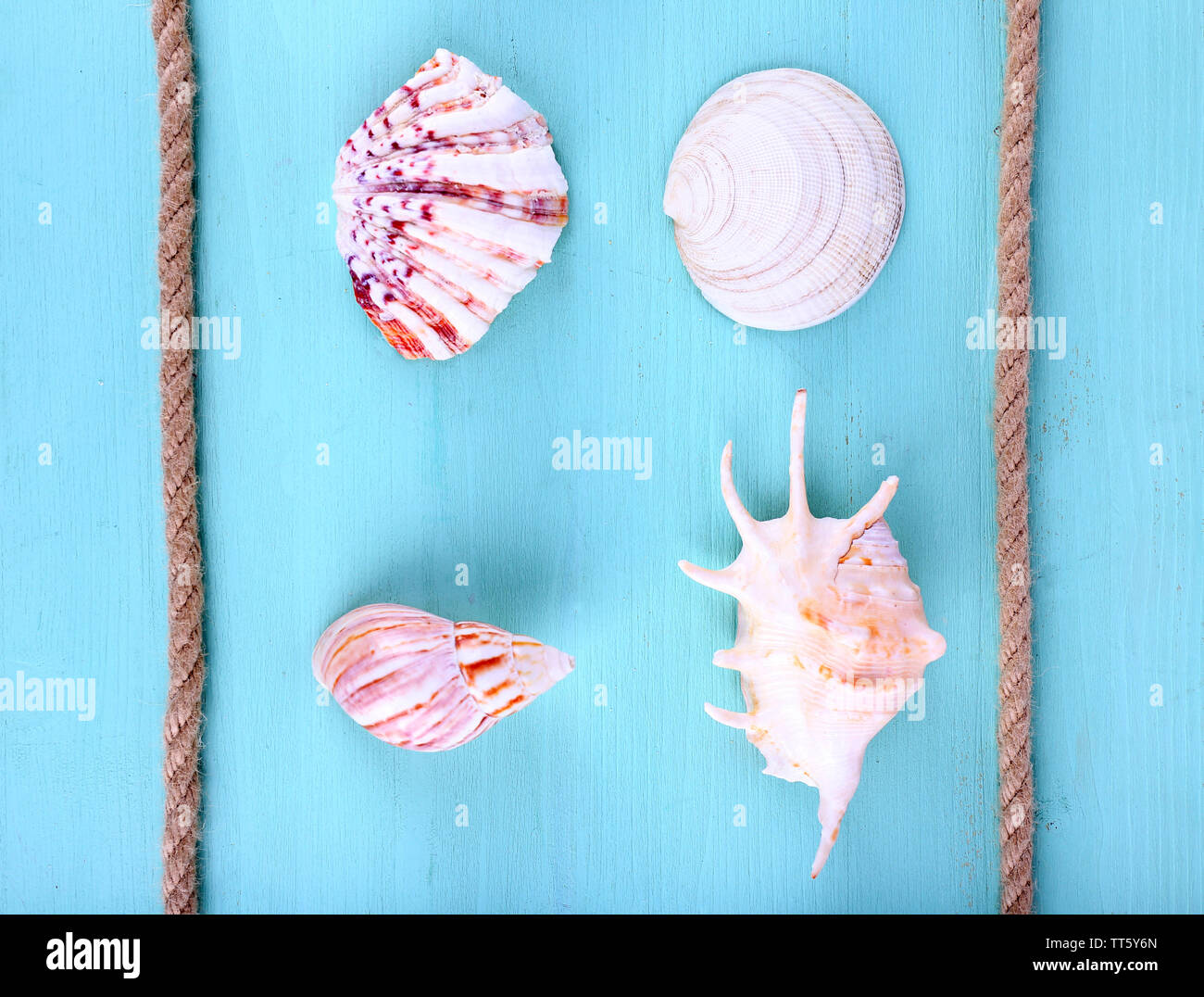 Sea souvenirs on light blue background Stock Photo - Alamy