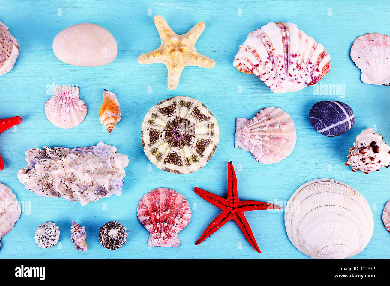 Sea souvenirs on light blue background Stock Photo - Alamy
