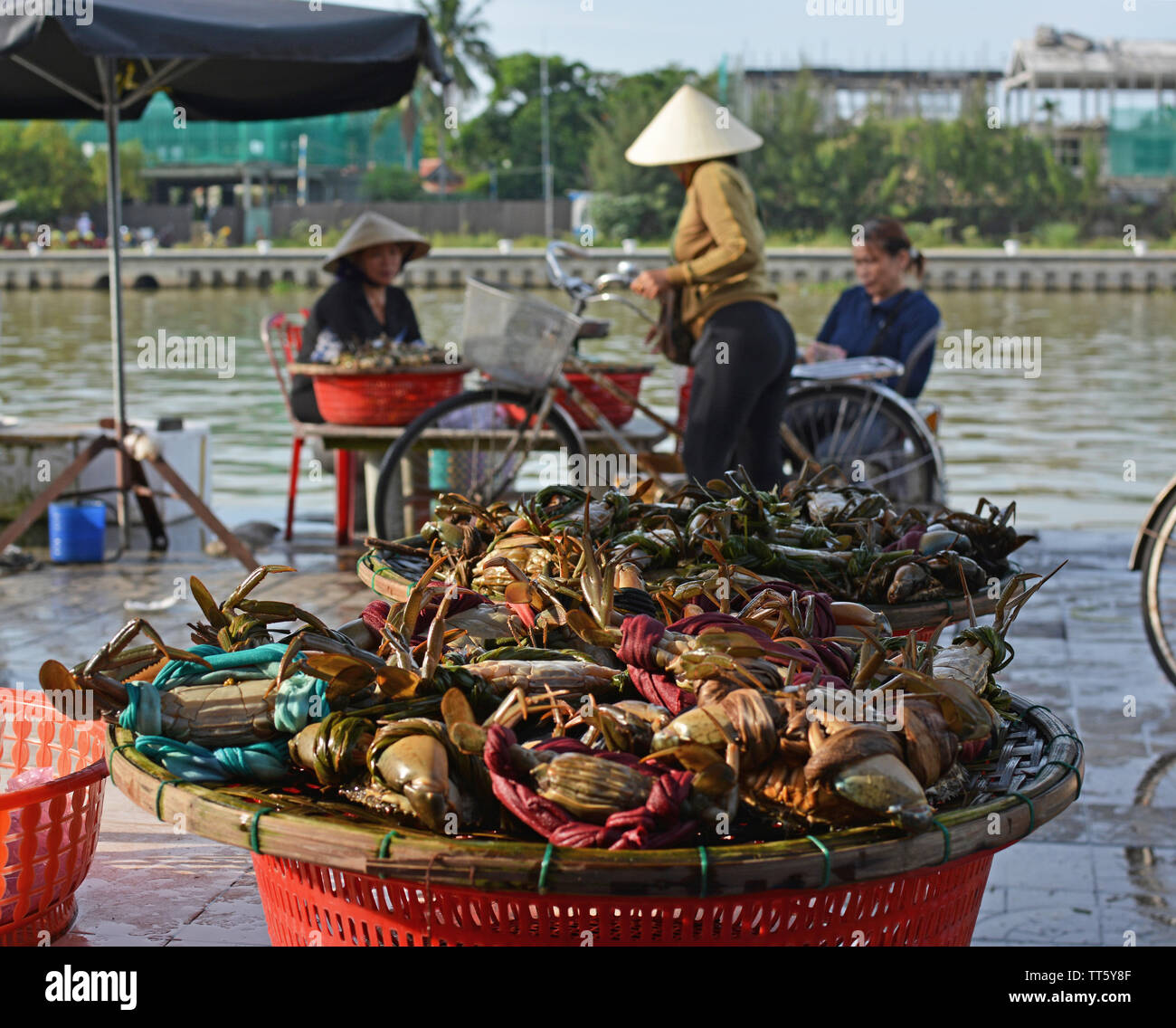 Hoi An, Vietnam - June 03, 2019; Women selling live crabs in a basket at Hoi An Fish Market, Vietnam. Stock Photo