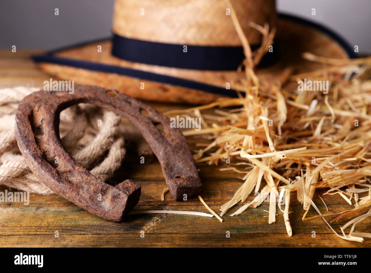 American West still life with old horseshoe and cowboy lasso Stock Photo