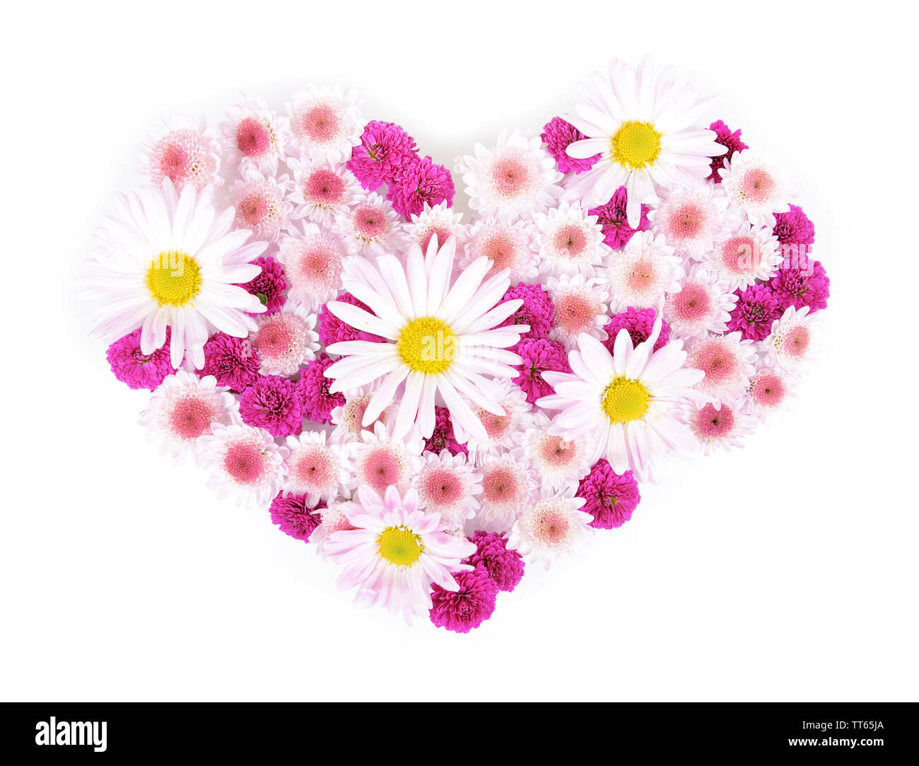 Beautiful flowers in heart shape isolated on white Stock Photo Alamy