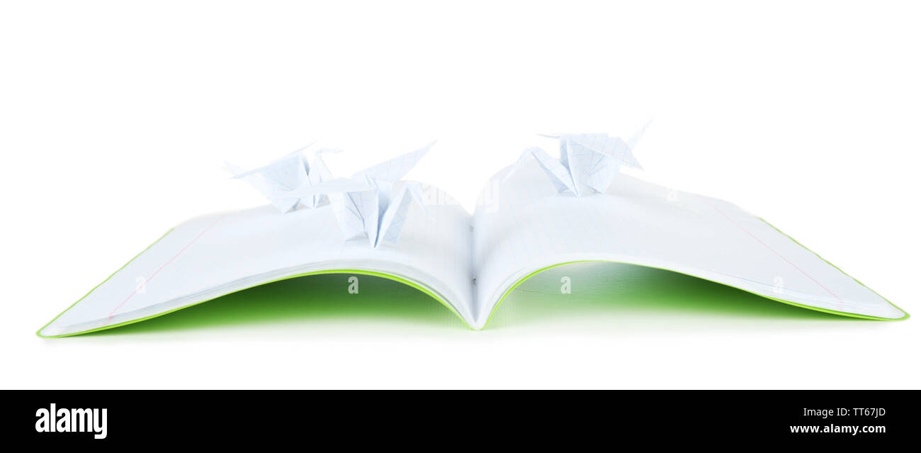 Origami cranes on notebook, isolated on white Stock Photo Alamy