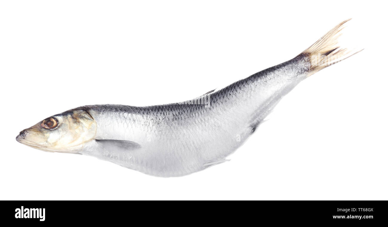 Fresh herring fish isolated on white Stock Photo Alamy