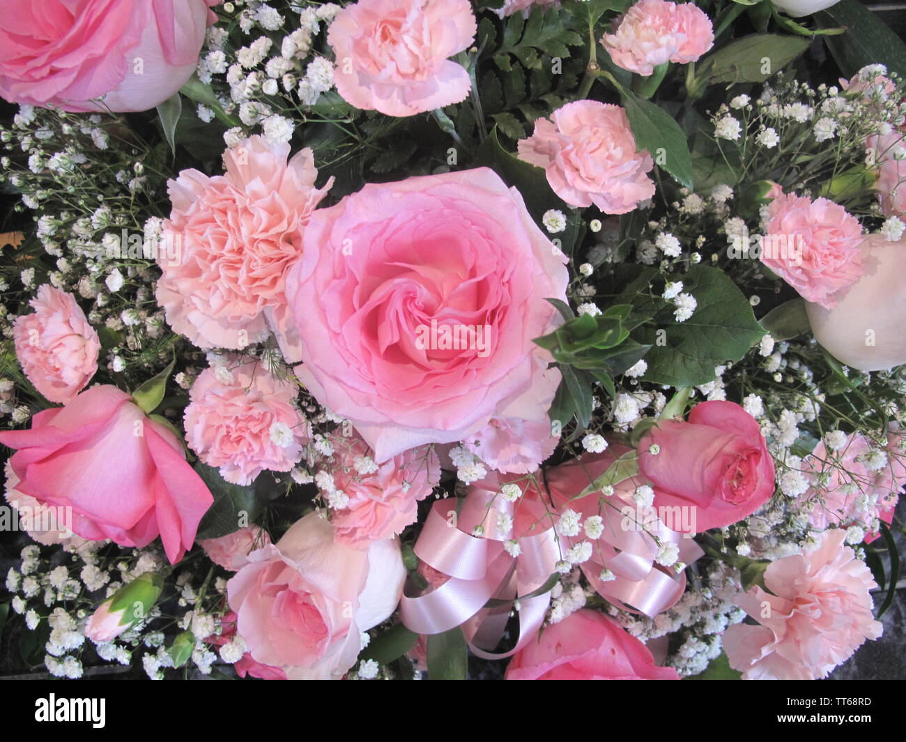 Pink roses and carnations with babies breath seen from above Stock