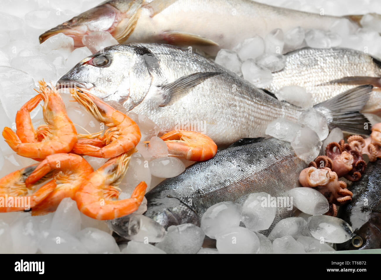 Dorado fish other seafood hi res stock photography and images Alamy