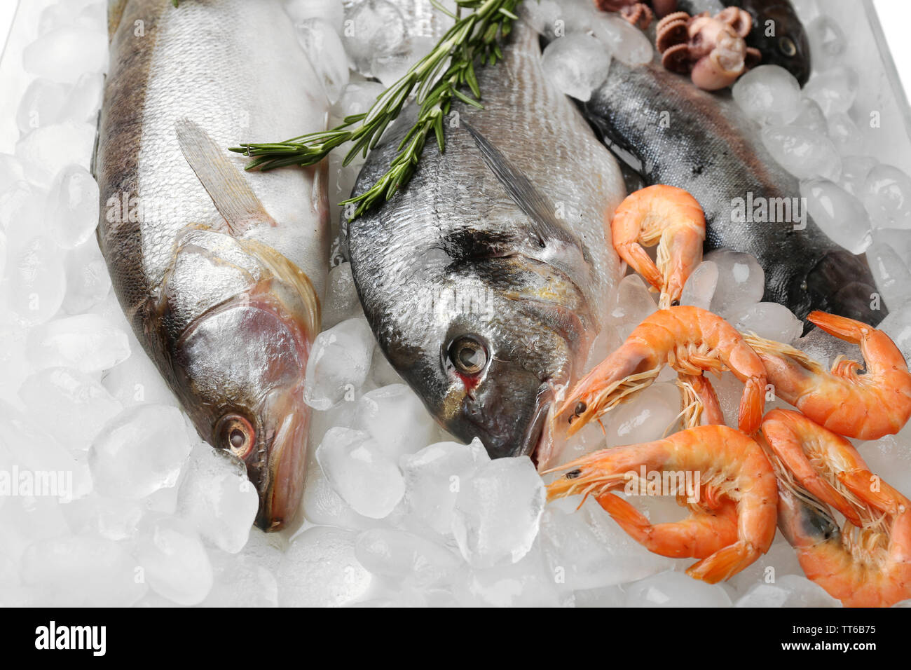 Dorado fish other seafood hi res stock photography and images Alamy