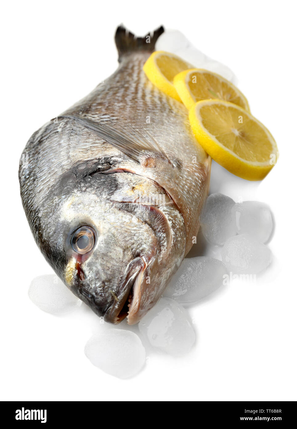 Fresh fish with ice isolated on white Stock Photo - Alamy