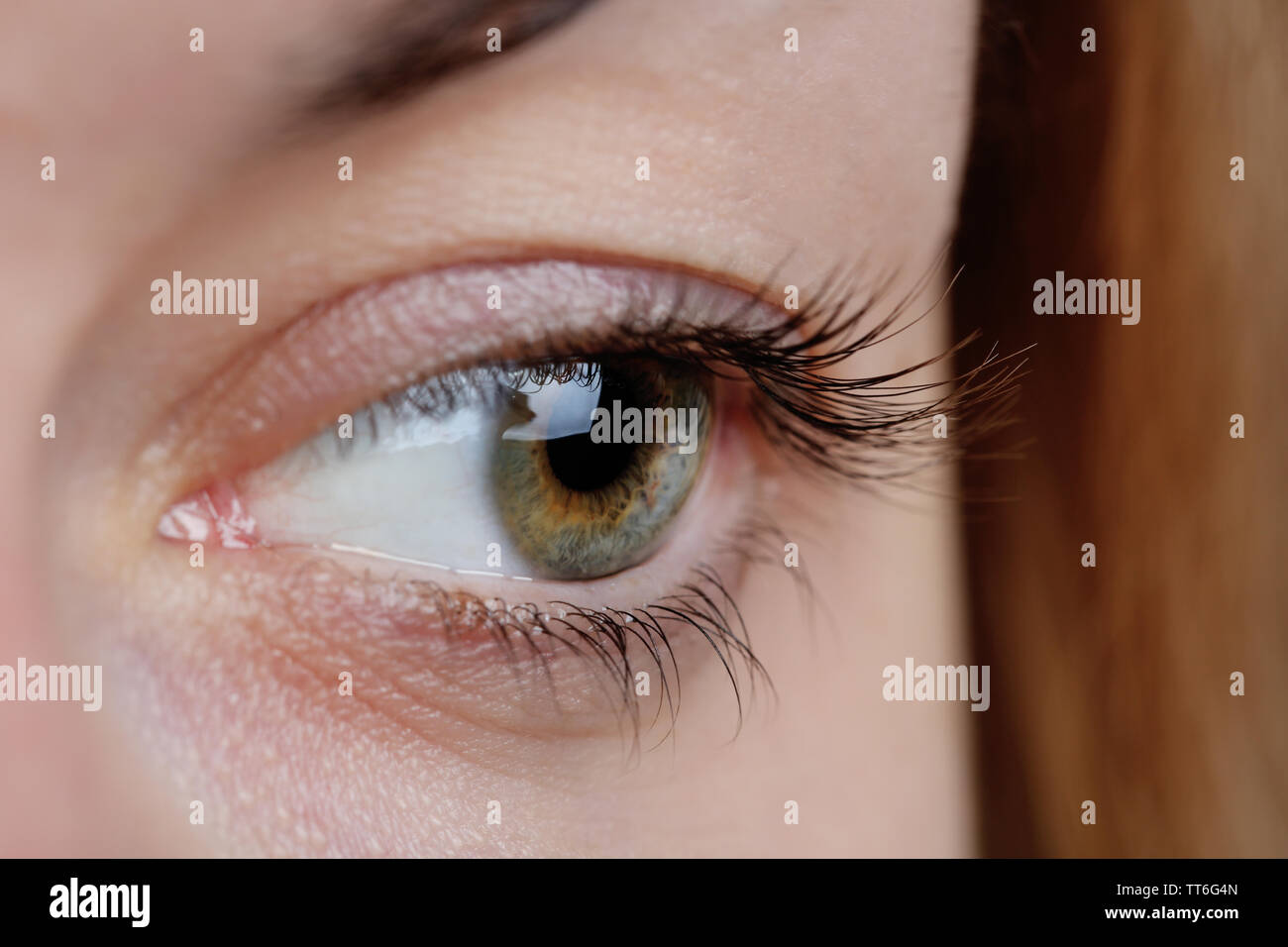 Female eye closeup Stock Photo Alamy
