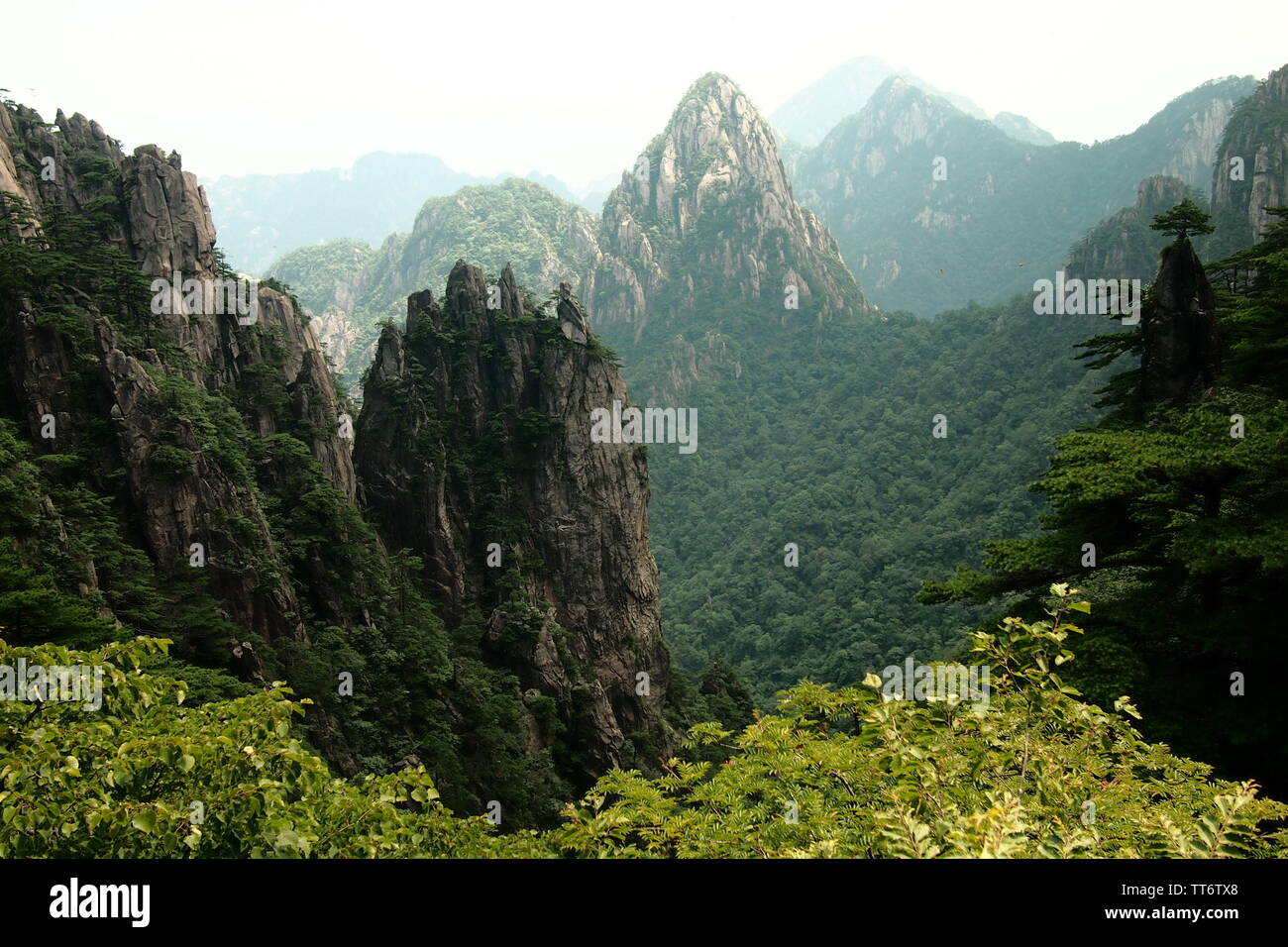 mountain range and view in huangshan / yellow mountains in China after hiking up millions of stairs and steps Stock Photo