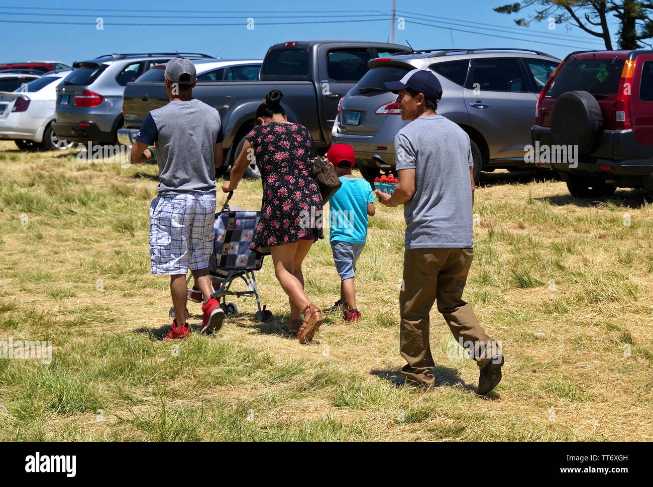 Middlefield, CT USA. Jun 2019. Hispanic family happily heading home with their delicious strawberries after an afternoon of fruit picking at a local o Stock Photo