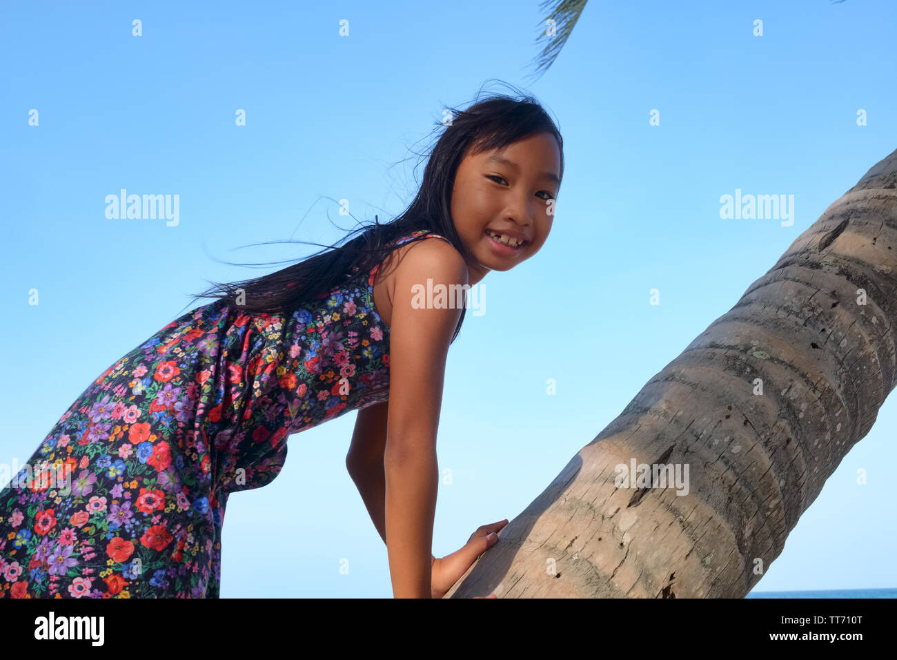 A young girl by the seaside in Southern Thailand climbing a coconut tree and posing for the camera Stock Photo