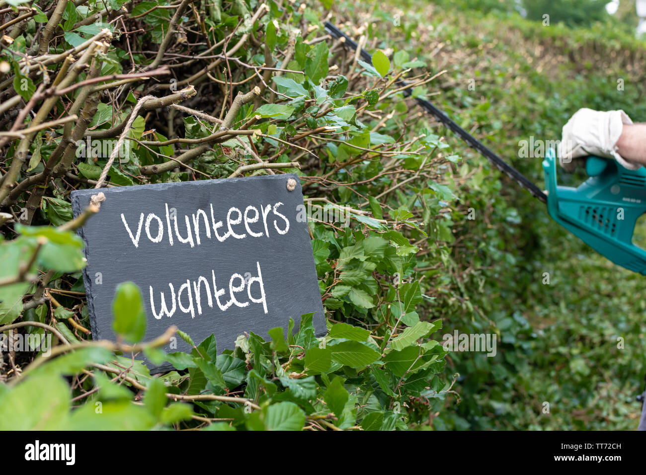 Volunteers needed for garden work. The sentence 'volunteers needed' is written on a slate. Stock Photo