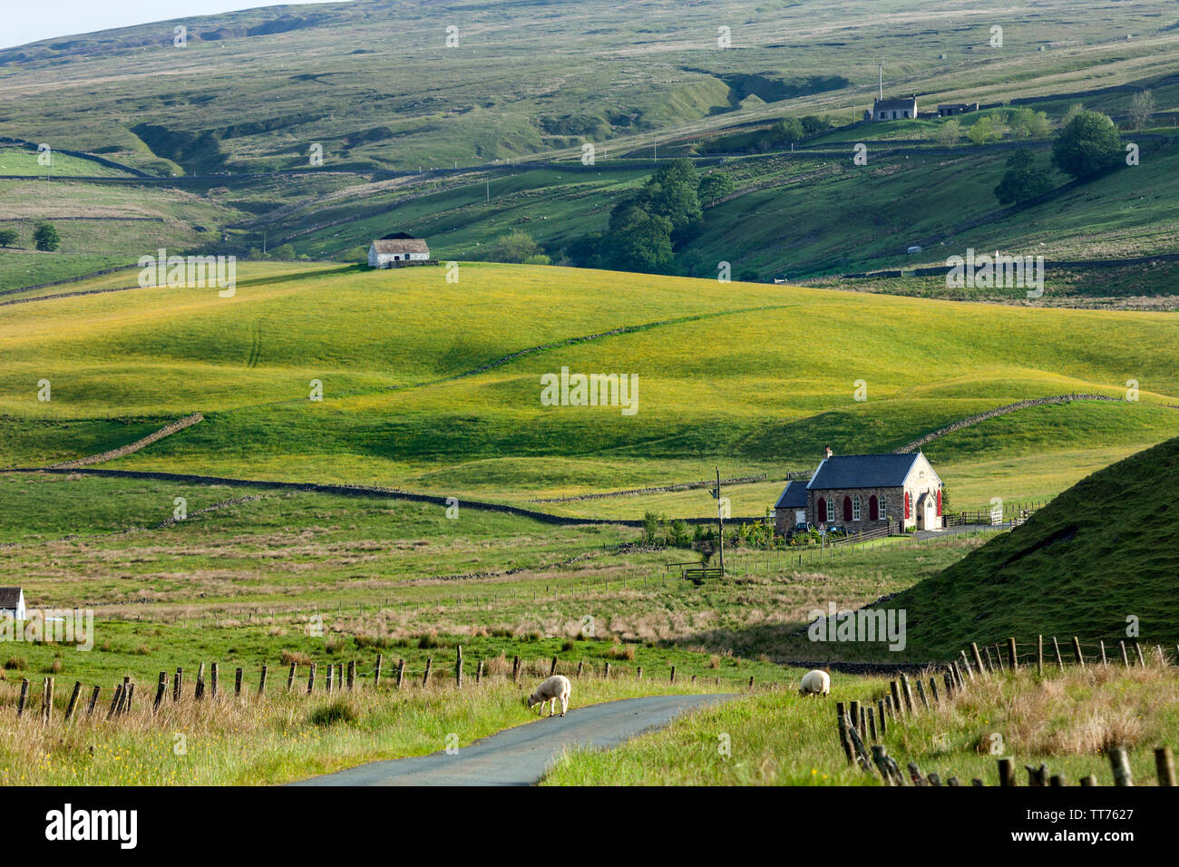 Teesdale, County Durham, UK.  15th June 2019. UK Weather.  After days of heavy rain which caused flooding in many parts of the UK the sun breaks through illuminating the wild flower meadows and gardens for which the North Pennine valley of Upper Teesdale is noted for.  The North Pennines Area of Outstanding Natural Beauty contains 40% of these rare meadows and flowers. Credit: David Forster/Alamy Live News Stock Photo