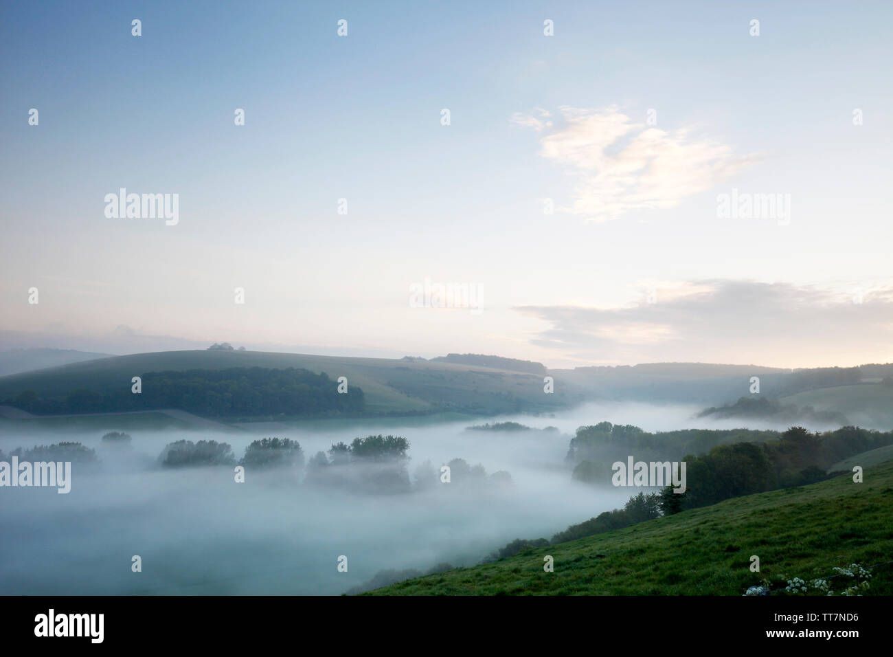 Clearing mist in Longcombe Bottom, the valley to the east of Fontmell Magna in Dorset. Stock Photo