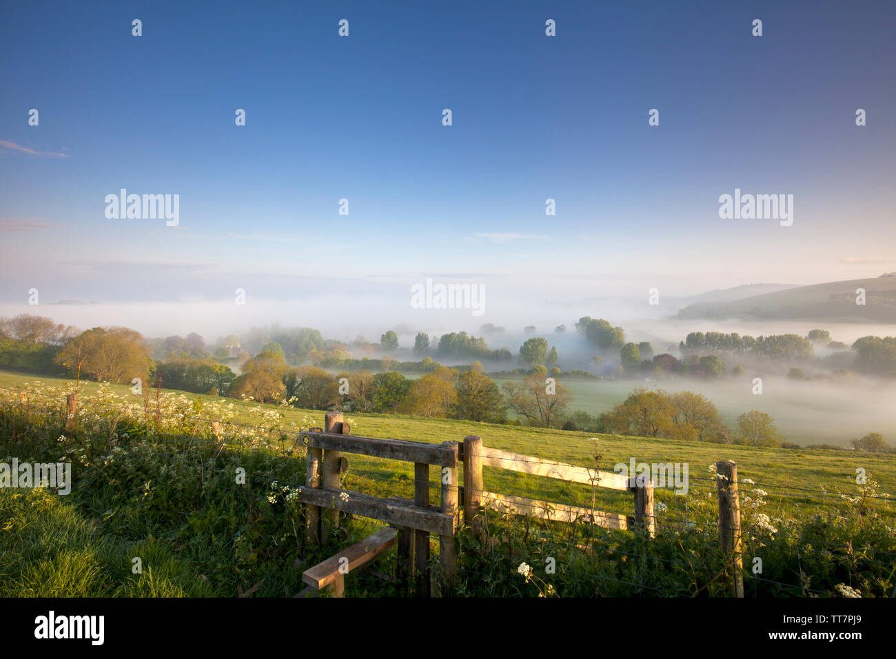 Clearing mist in the valley east of Fontmell Magna in Dorset. Stock Photo