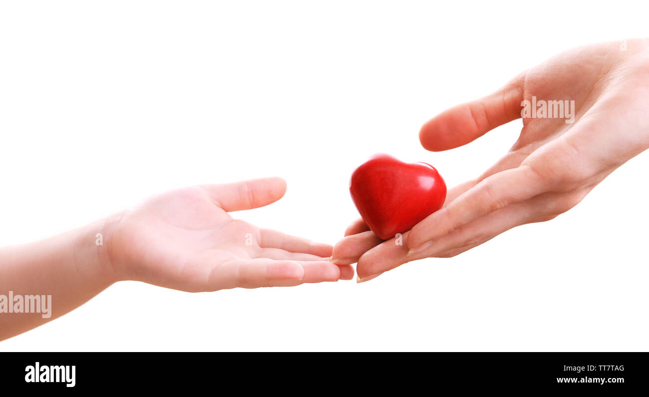 Heart in hands isolated on white Stock Photo