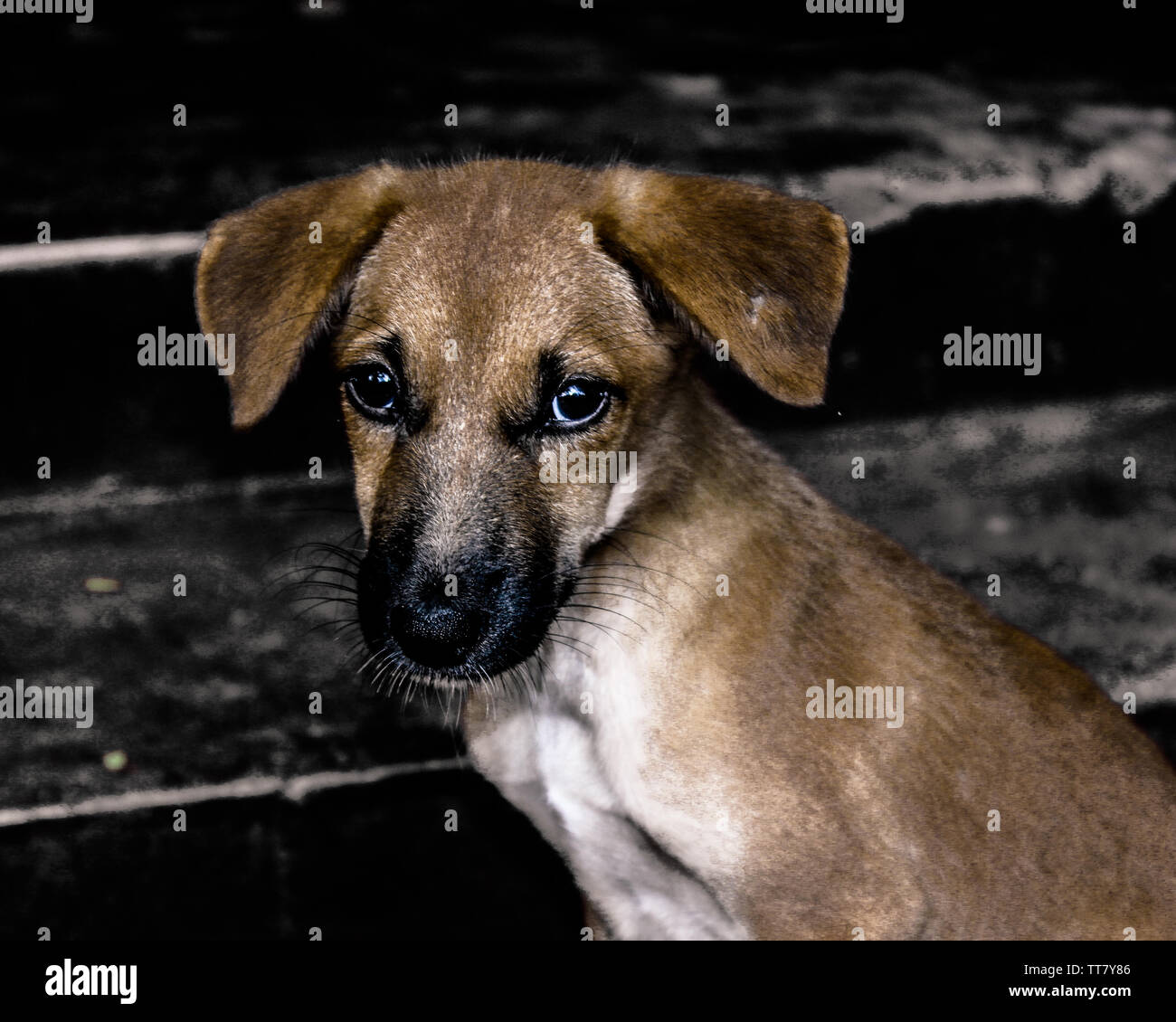 Poor Soul Stock Photo
