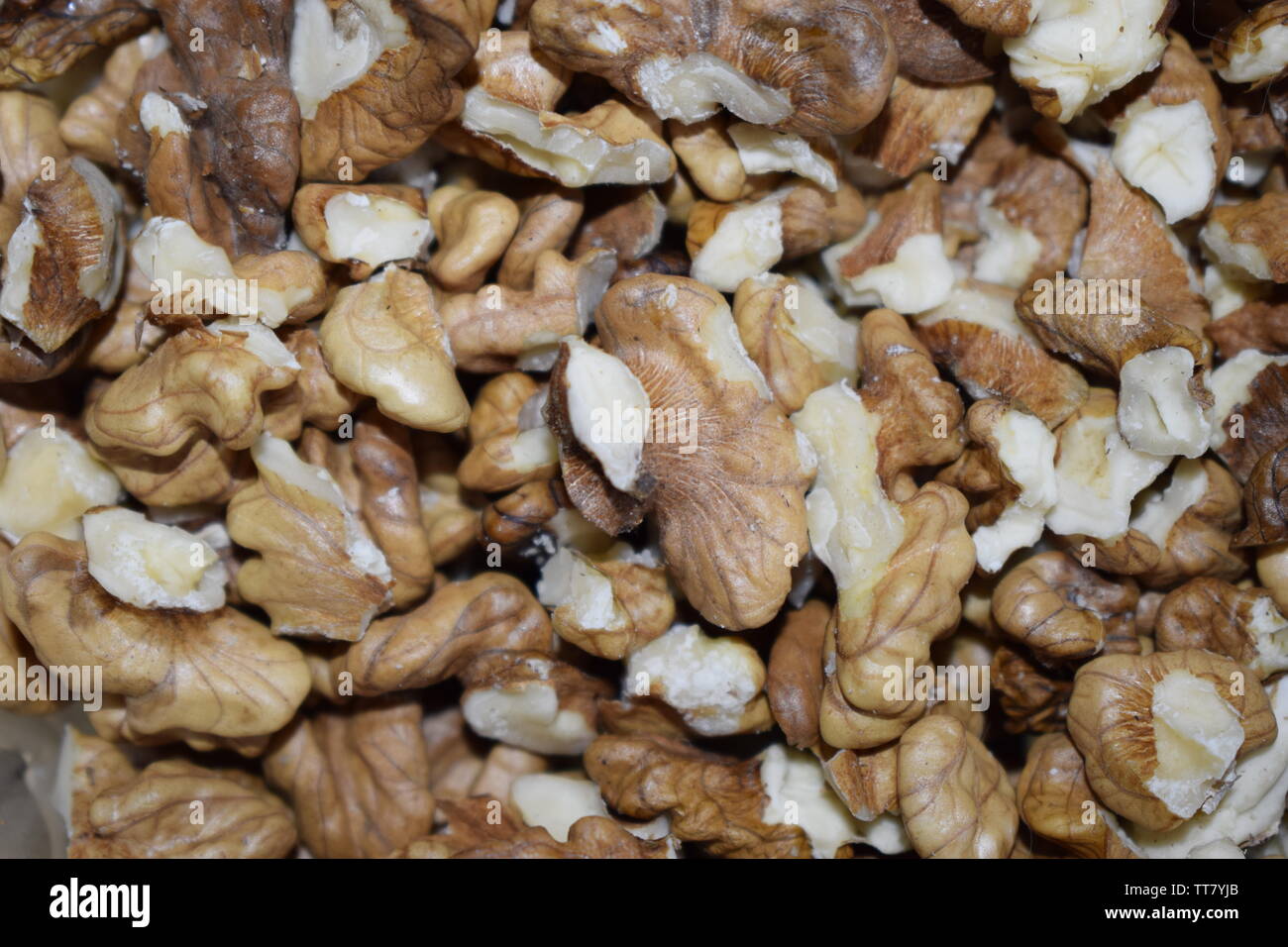 Closeup of big shelled walnuts pile. Big shelled walnuts background Stock Photo