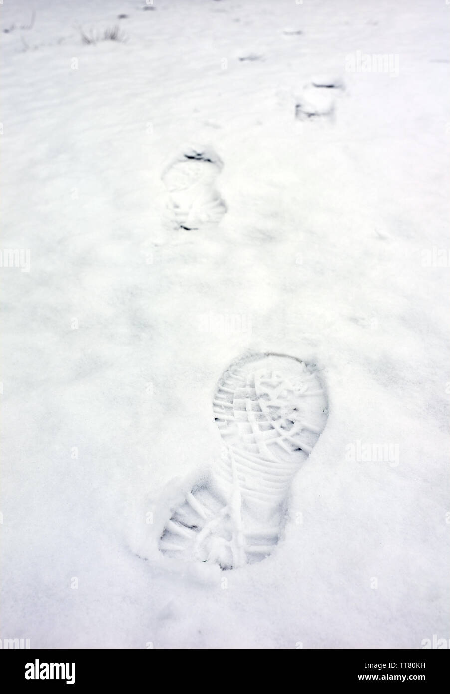 Footprints in snow Stock Photo Alamy