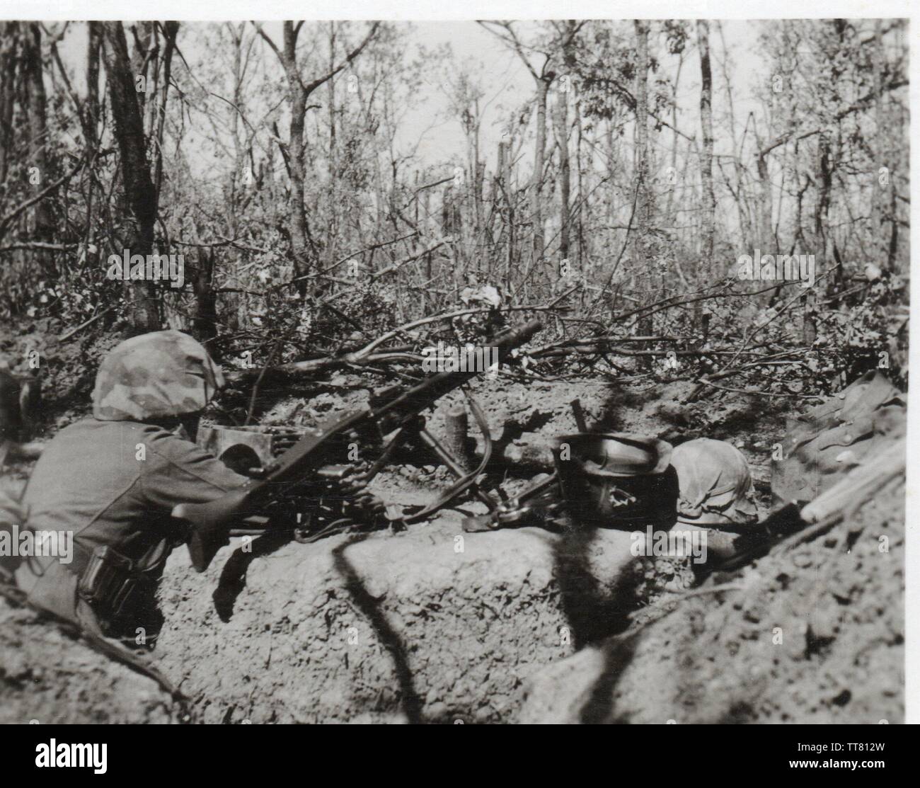 German Soldier beside MG42 on watch in a heavily Wooded position on the Russian Front 1943 Stock Photo