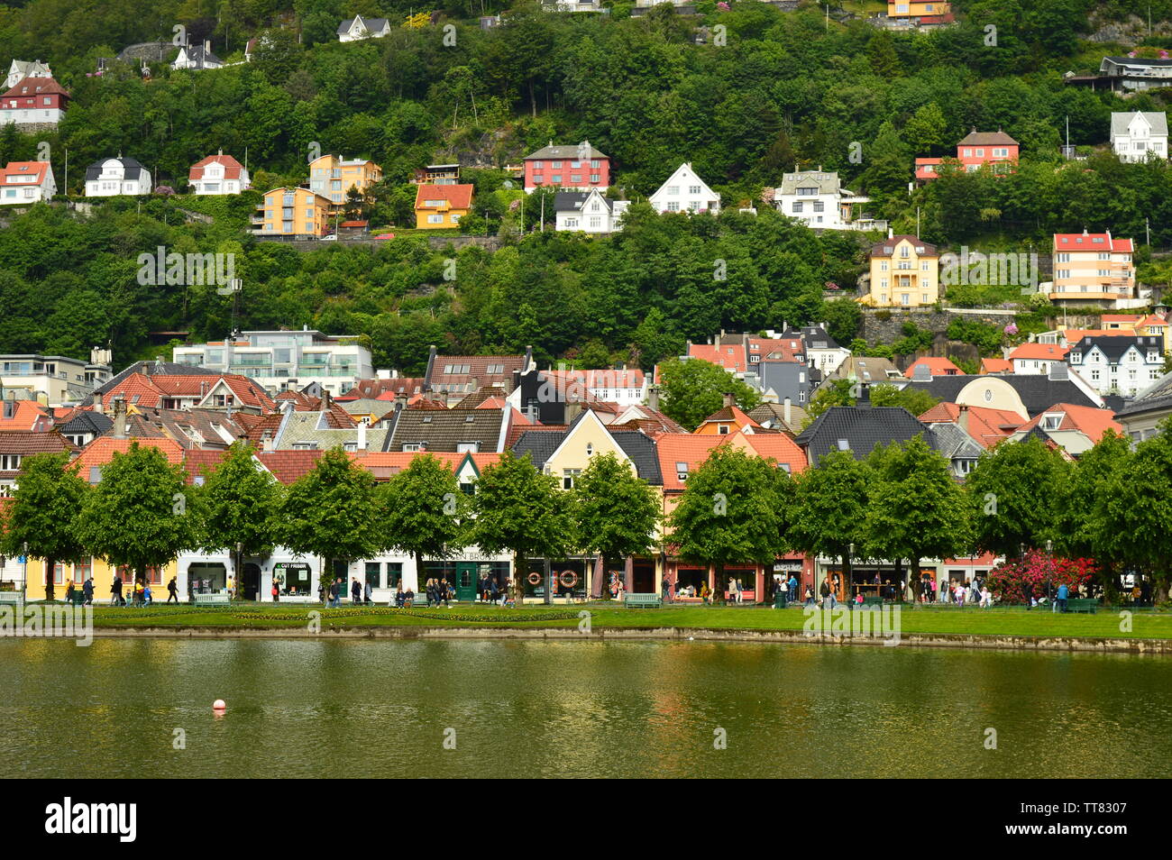 Homes on the Mountain Bergen Stock Photo