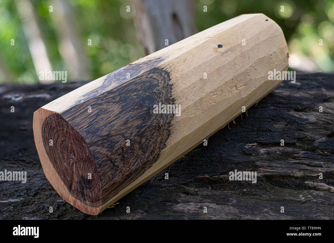 Black Wood Expensive Ebony Stock Photo - Download Image Now - Ebony - Wood,  Textured, Exoticism - iStock