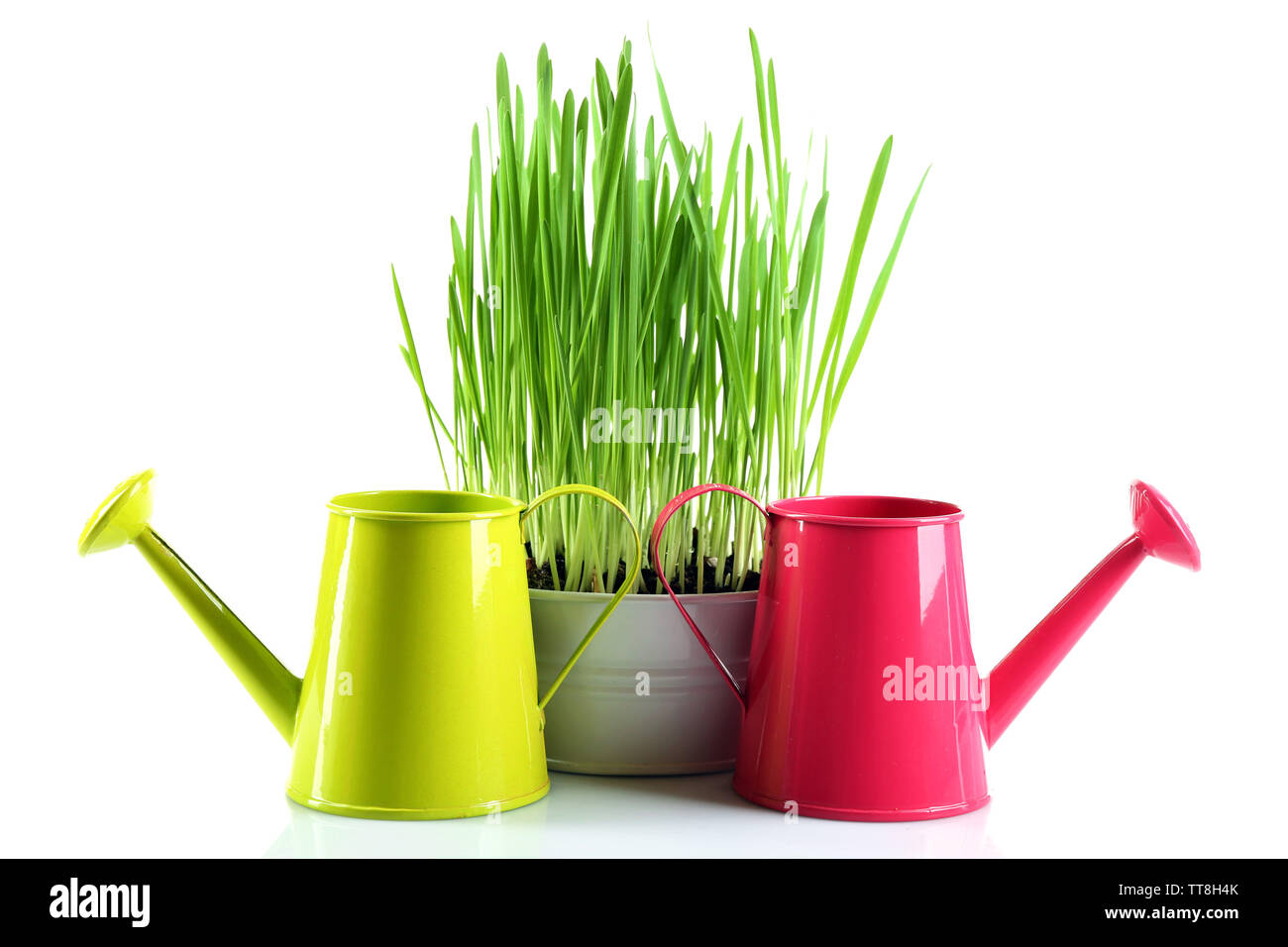 Watering Cans On Grass Stock Photos Watering Cans On Grass Stock