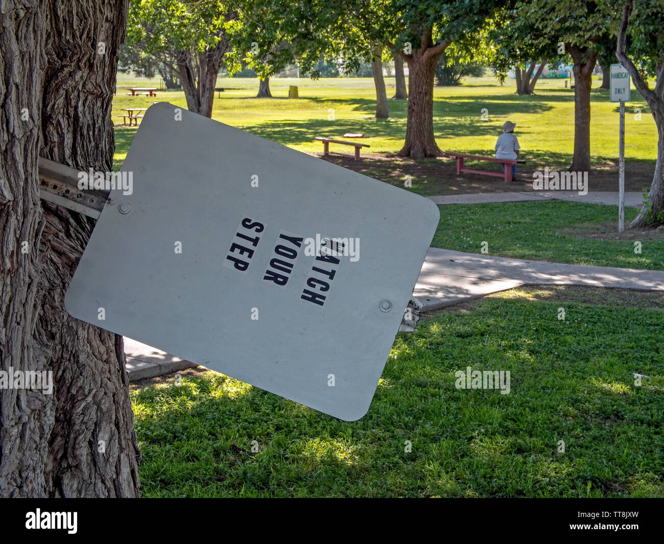 Warning sign jammed between two trunks in a public park in Alpine, Texas Stock Photo