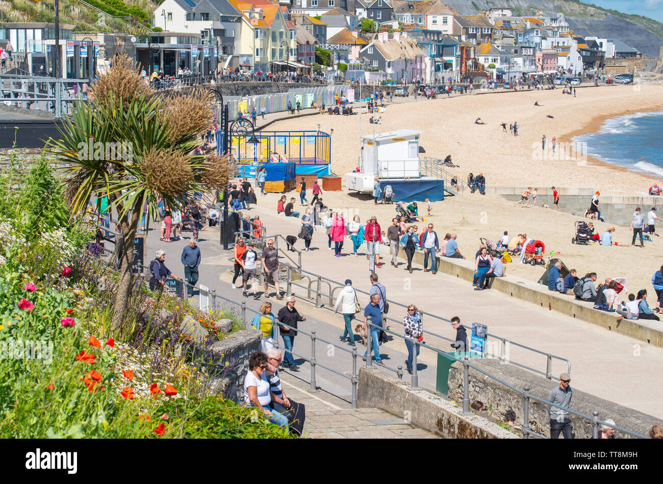 Lyme Regis, Dorset, UK. 15th June, 2019. UK Weather: Crowds of musicians and visitors flock to the beach enjoy an afternoon of music as the annual Guitars on the Beach event gets underway on the beach at Lyme Regis on a glorious afternoon of warm sunshine and bright blue skies. The crowd is the star of the show as guitarists of all ages and abilities gather together on the beach perform together as 'Britain's biggest band'. People enjoy the laid back festival atmosphere before they perform this year's chosen song “On the Beach”. Credit: Celia McMahon/Alamy Live News Stock Photo
