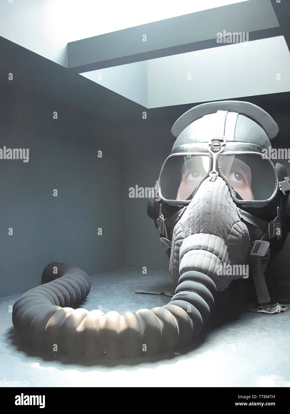 MAN LOOKING AT RUSSIAN INSTALLATION  USING A GAS MASK, BIENNALE 2015, VENICE, ITALY, Stock Photo