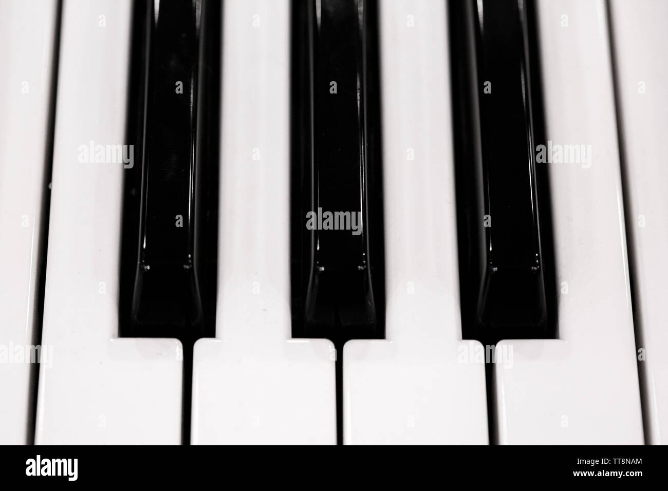 depth of field keyboards keys at the music store Stock Photo - Alamy