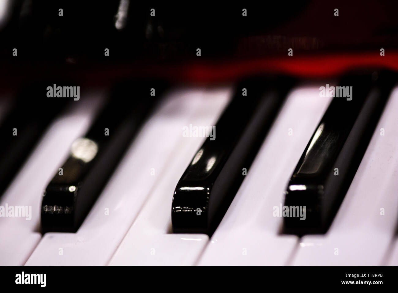 accordion keyboard keys macro close up black and white Stock Photo Alamy