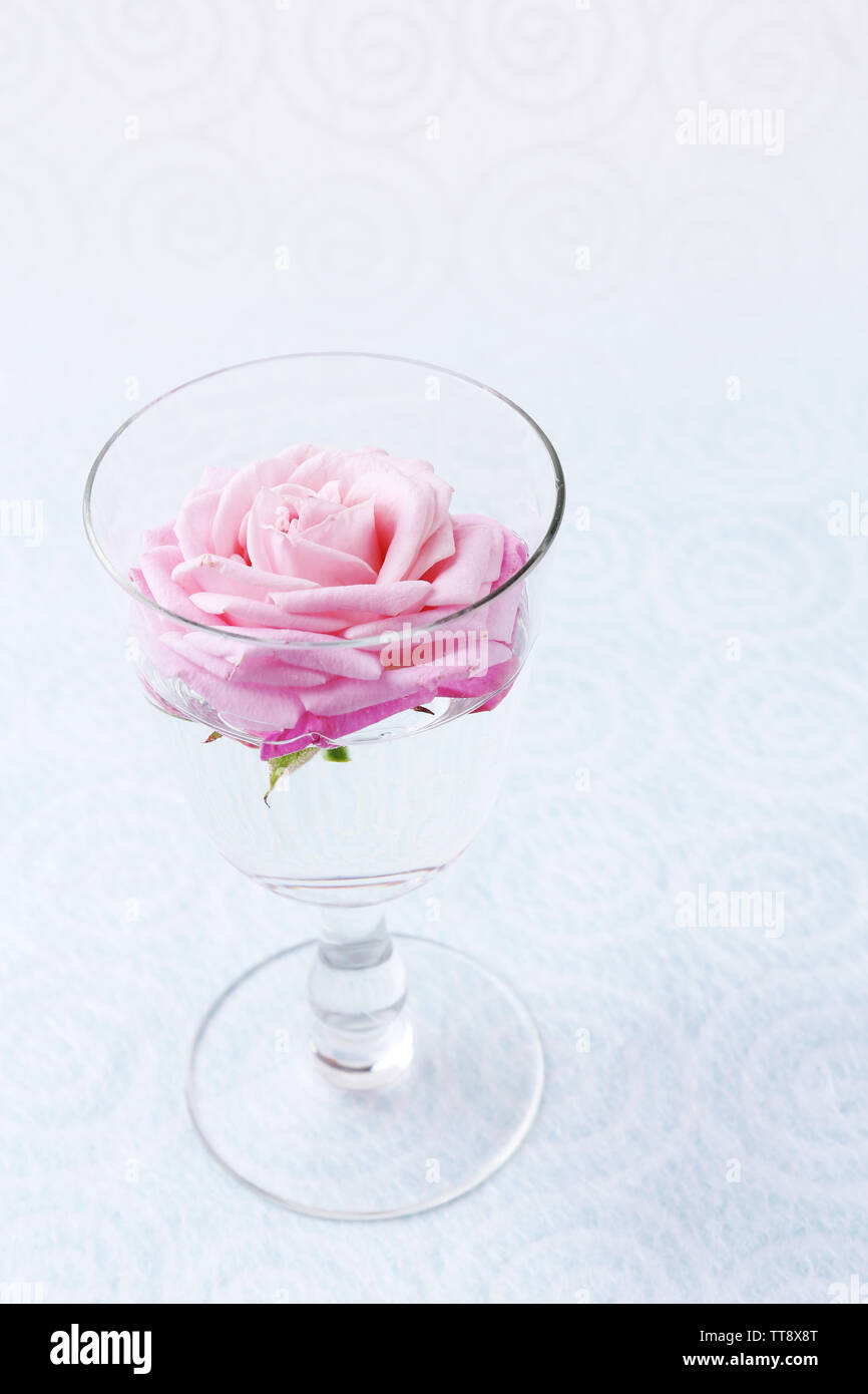 Beautiful fresh rose in glass on color wallpaper background Stock Photo - Alamy Beautiful fresh rose in glass on color wallpaper background Stock Photo - Alamy