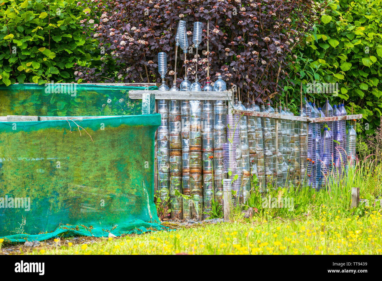 Garden perimeter fence constructed out of used plastic drinks bottles