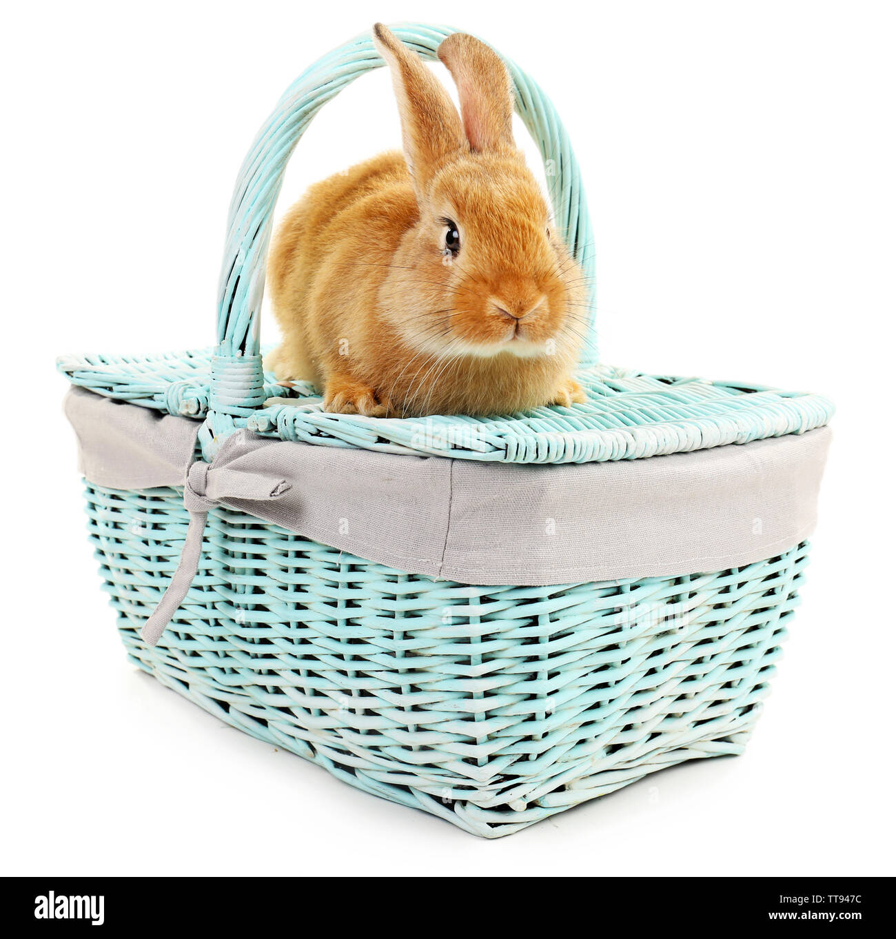 Cute brown rabbit on color wicker basket isolated on white Stock Photo ...