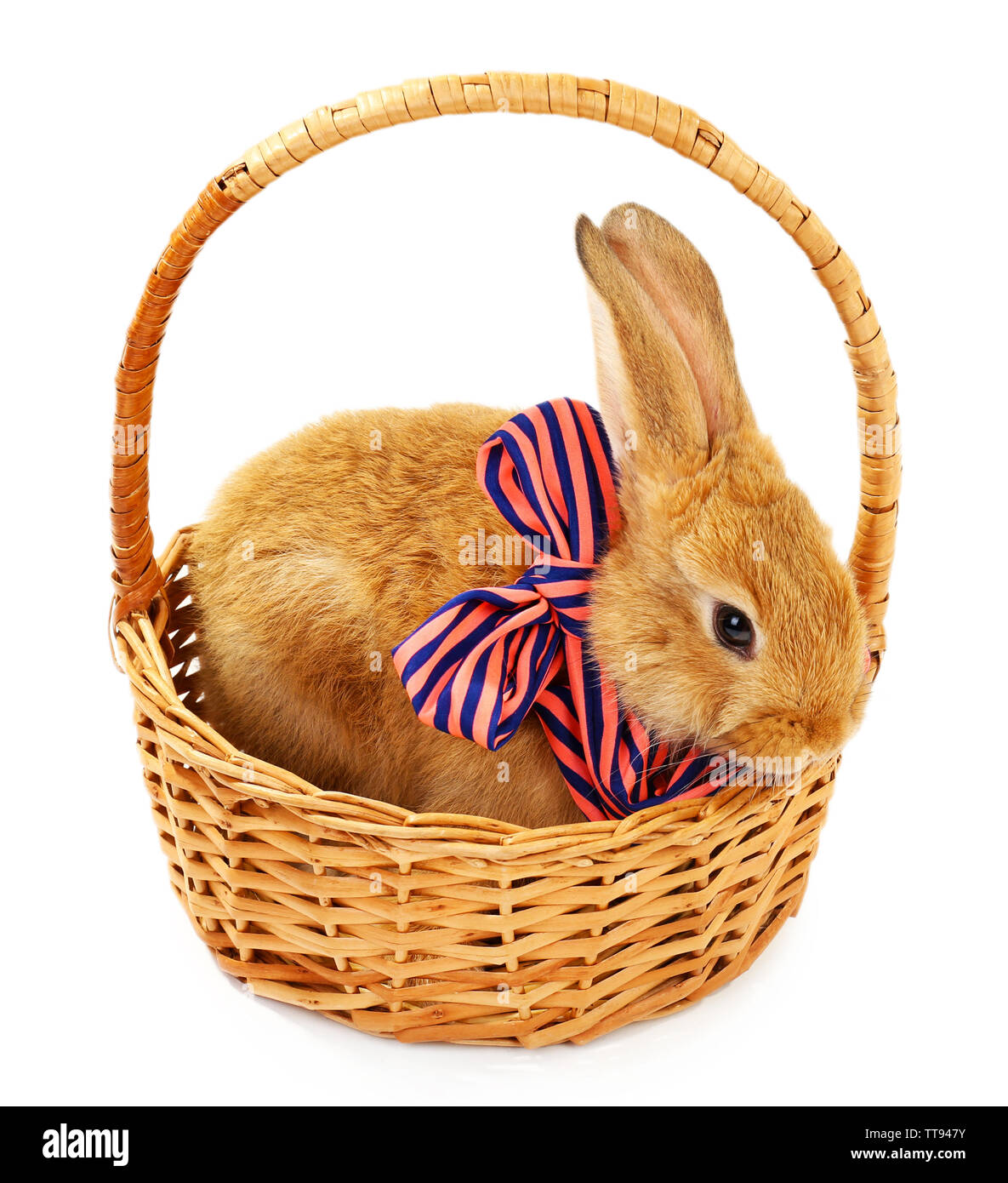 Cute brown rabbit with scarf in wicker basket isolated on white Stock ...