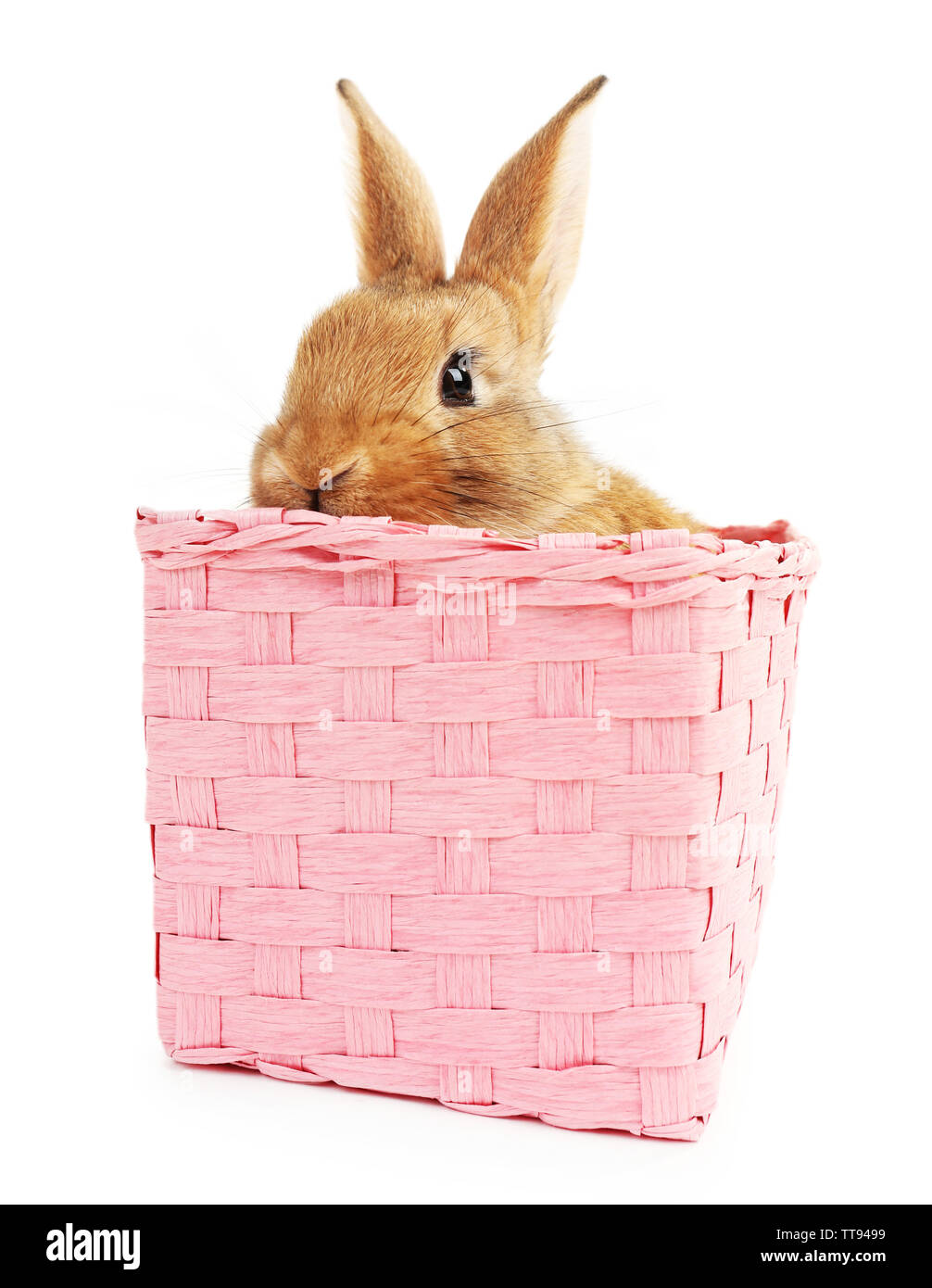 Cute brown rabbit in pink wicker box isolated on white Stock Photo - Alamy