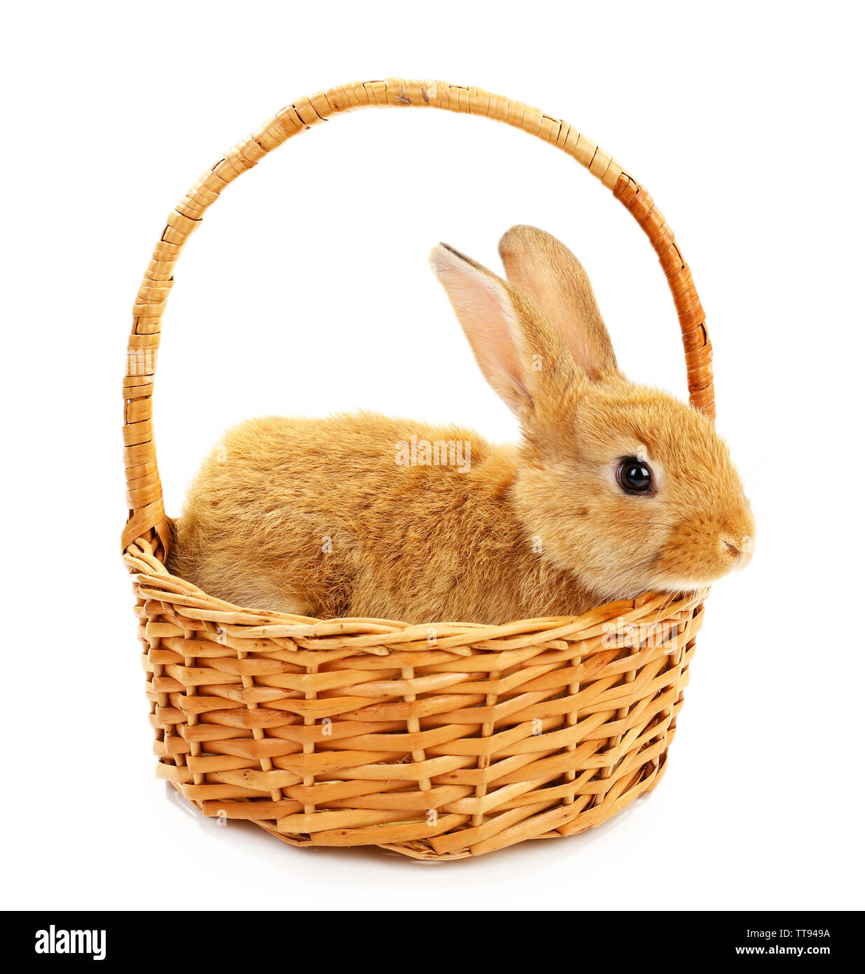 Cute brown rabbit in wicker basket isolated on white Stock Photo - Alamy