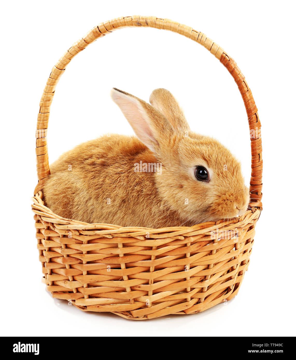 Cute brown rabbit in wicker basket isolated on white Stock Photo - Alamy