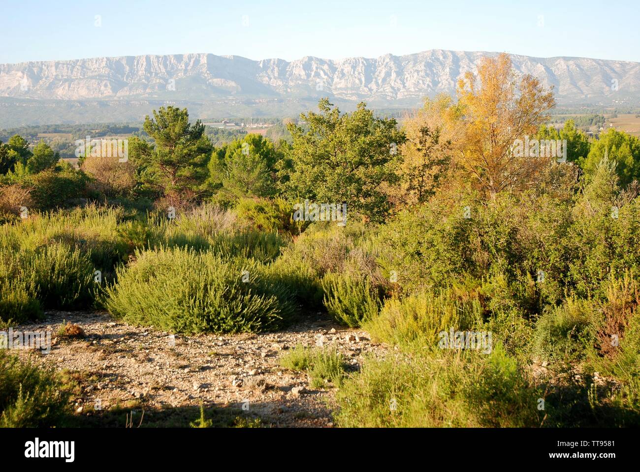 the Sainte Victoire mountain seen from Trets in Provence Stock Photo