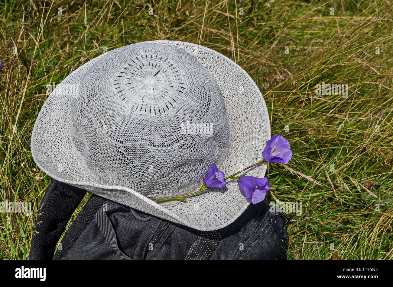 Summer hat decorated with flower bell or campanula patula on a backpack  in the Vitosha mountain, Bulgaria Stock Photo