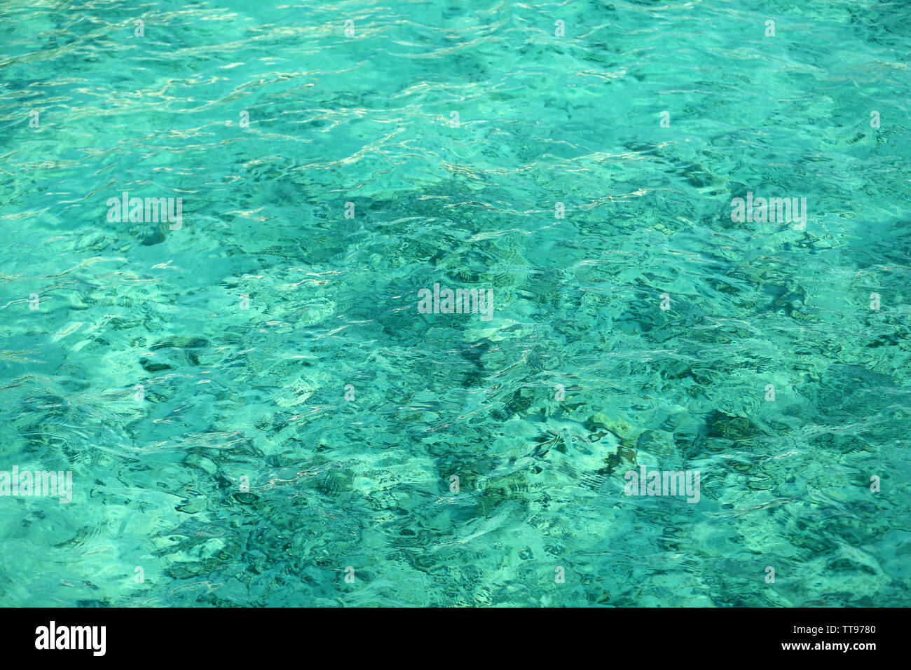 Clear ocean water, in resort Stock Photo - Alamy