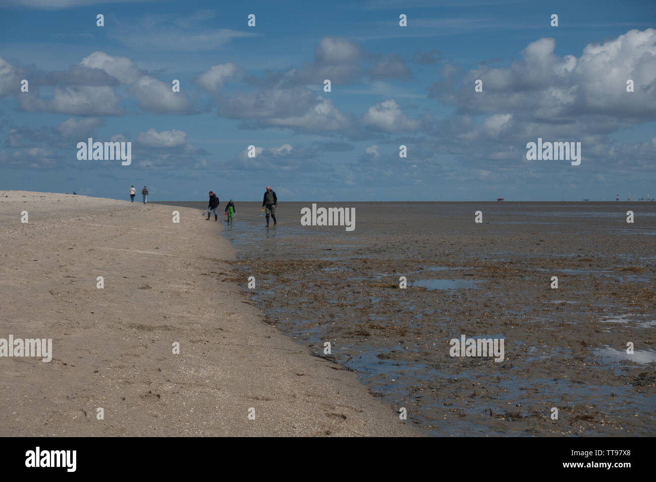 Beach and mud flats at low tide. Schillig, East Frisia, Lower Saxony, Germany Stock Photo