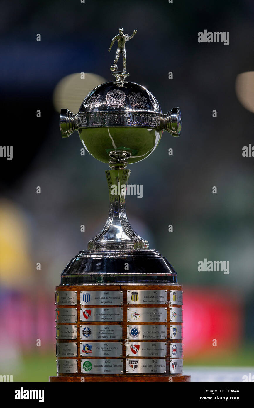 Sao Paulo Sp 13 06 2019 Football Palmeiras Sp X Avai Sc Copa Libertadores 1999 During A Match Between Palmeiras And Avai Valid For The 9t Stock Photo Alamy