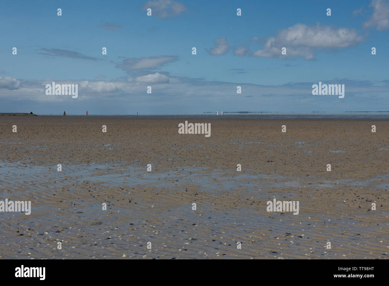 Mudflats at low tide, Wadden Sea, East Frisia, Lower Saxony, Germany Stock Photo