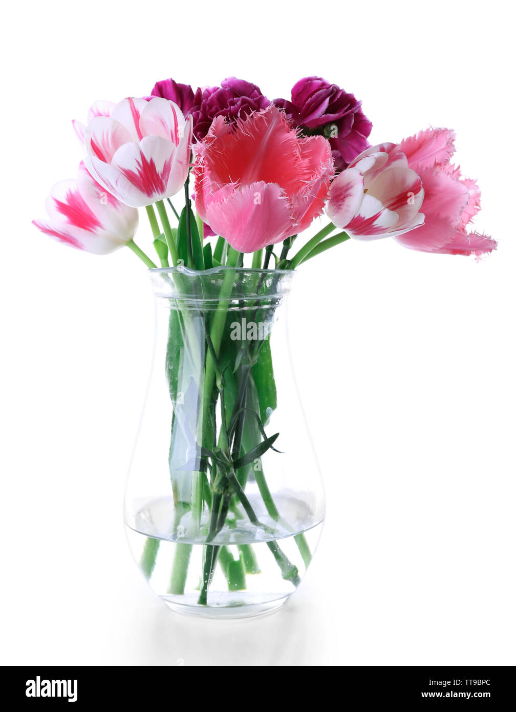 Fresh spring flowers isolated on white Stock Photo - Alamy