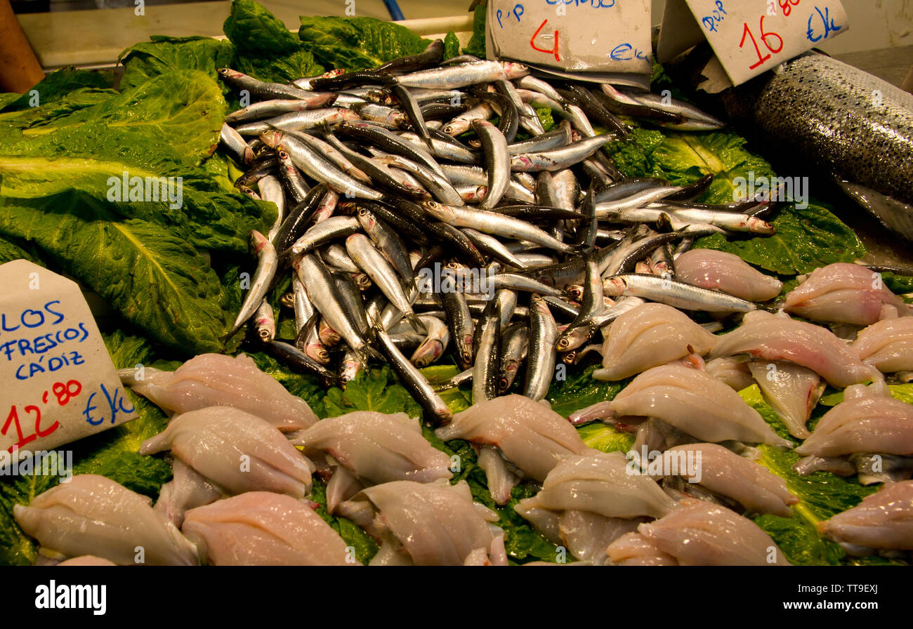 assorted mediterannean fish with prize tags at fishmonger's market stall in cadiz, andalusia, spain Stock Photo